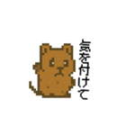 しあわせ！クアッカワラビーのスタンプ（個別スタンプ：24）