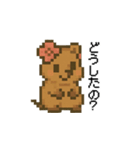 しあわせ！クアッカワラビーのスタンプ（個別スタンプ：34）