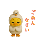 渡り鳥に憧れるヒヨコたちの日常（個別スタンプ：22）