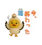 渡り鳥に憧れるヒヨコたちの日常（個別スタンプ：38）