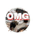 動物面白スタンプ2animal funny expression（個別スタンプ：5）