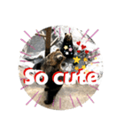 動物面白スタンプ2animal funny expression（個別スタンプ：7）