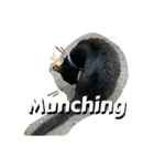 動物面白スタンプ2animal funny expression（個別スタンプ：9）