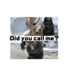 動物面白スタンプ2animal funny expression（個別スタンプ：10）