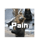 動物面白スタンプ2animal funny expression（個別スタンプ：11）