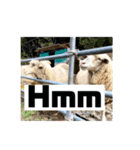 動物面白スタンプ2animal funny expression（個別スタンプ：18）