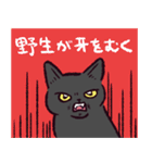 黒猫です.（個別スタンプ：9）