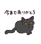 黒猫です.（個別スタンプ：11）