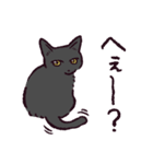 黒猫です.（個別スタンプ：13）