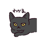 黒猫です.（個別スタンプ：14）