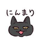 黒猫です.（個別スタンプ：21）