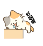（デイリーにゃー・日常編）（個別スタンプ：4）