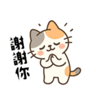 （デイリーにゃー・日常編）（個別スタンプ：5）