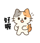 （デイリーにゃー・日常編）（個別スタンプ：6）