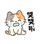 （デイリーにゃー・日常編）（個別スタンプ：9）