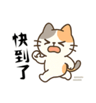 （デイリーにゃー・日常編）（個別スタンプ：14）