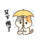 （デイリーにゃー・日常編）（個別スタンプ：15）