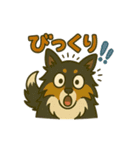 シェルティー日常的によく使うスタンプ2（個別スタンプ：3）