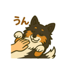 シェルティー日常的によく使うスタンプ2（個別スタンプ：7）