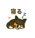 シェルティー日常的によく使うスタンプ2（個別スタンプ：13）