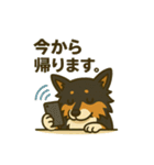 シェルティー日常的によく使うスタンプ2（個別スタンプ：15）