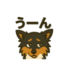 シェルティー日常的によく使うスタンプ2（個別スタンプ：20）