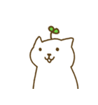 動じないネコちゃん！（個別スタンプ：16）