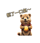 愛らしいクオッカ5（繁体字）（個別スタンプ：2）