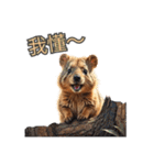 愛らしいクオッカ5（繁体字）（個別スタンプ：5）