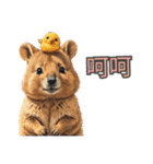 愛らしいクオッカ5（繁体字）（個別スタンプ：11）