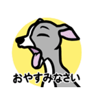 【ブルー】1年中使える♡パピーイタグレ（個別スタンプ：4）
