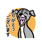 【ブルー】1年中使える♡パピーイタグレ（個別スタンプ：5）