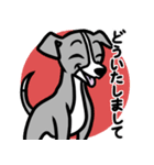 【ブルー】1年中使える♡パピーイタグレ（個別スタンプ：6）