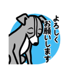 【ブルー】1年中使える♡パピーイタグレ（個別スタンプ：9）