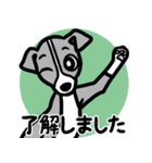 【ブルー】1年中使える♡パピーイタグレ（個別スタンプ：10）
