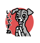 【ブルー】1年中使える♡パピーイタグレ（個別スタンプ：13）