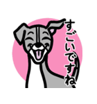【ブルー】1年中使える♡パピーイタグレ（個別スタンプ：14）