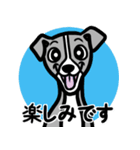 【ブルー】1年中使える♡パピーイタグレ（個別スタンプ：16）