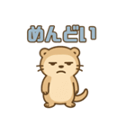 かわいく伝えるフェレットトーク（個別スタンプ：8）