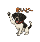 和歌山弁の犬（石松）その4（個別スタンプ：1）
