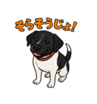 和歌山弁の犬（石松）その4（個別スタンプ：2）