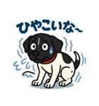 和歌山弁の犬（石松）その4（個別スタンプ：5）