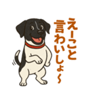 和歌山弁の犬（石松）その4（個別スタンプ：6）