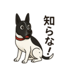 和歌山弁の犬（石松）その4（個別スタンプ：7）