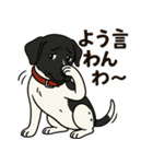 和歌山弁の犬（石松）その4（個別スタンプ：8）