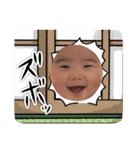 ☆ぷくスタンプ☆（個別スタンプ：40）
