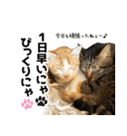 個性豊かな8猫家族（個別スタンプ：6）