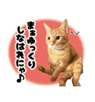 個性豊かな8猫家族（個別スタンプ：7）
