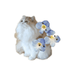 我が家の癒しねこたち。（個別スタンプ：1）