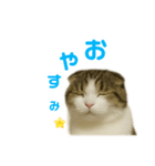 ちょた①（個別スタンプ：2）